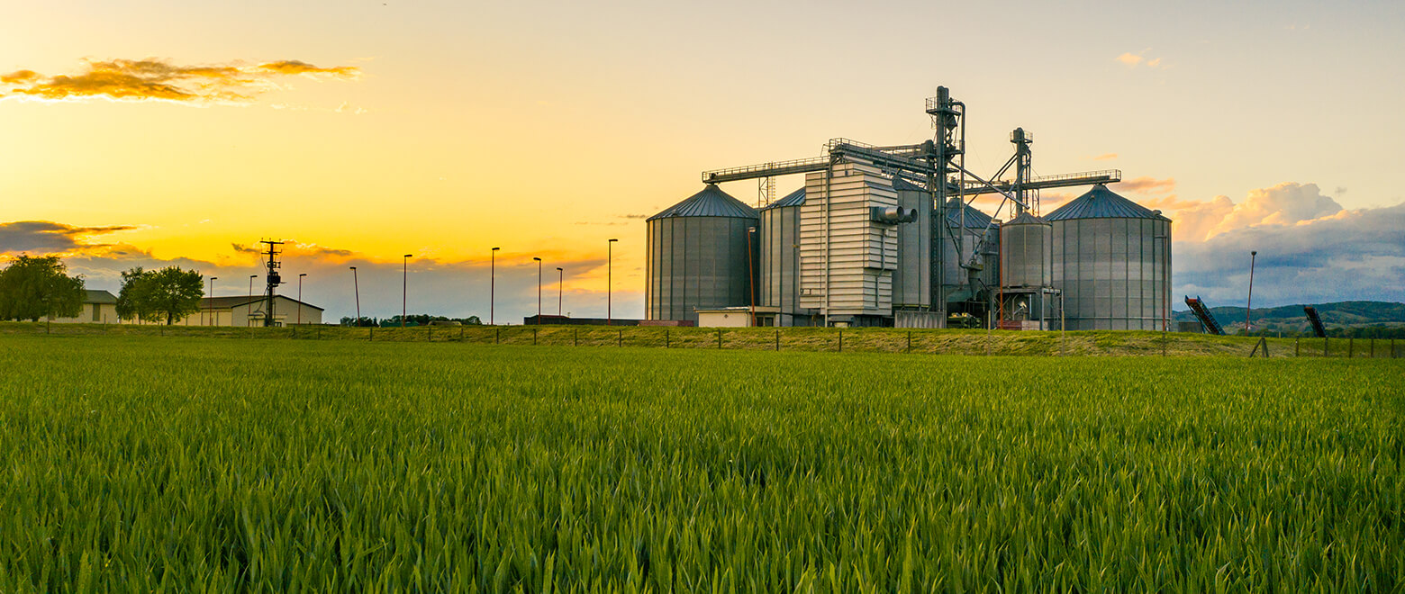 usda farm