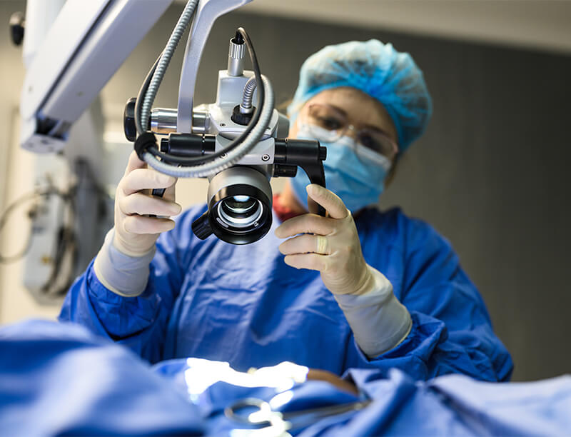 Doctor working with medical equipment 
