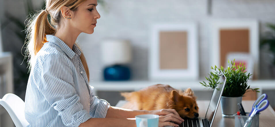 Woman with dog working on financial plan