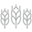 SBA Lending Icon