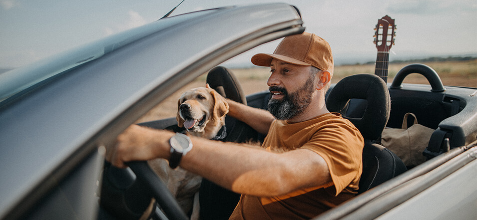 Man driving with dog